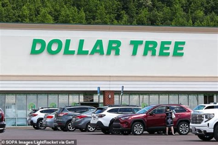 17 New $1.25 Fourth of July Finds at Dollar Tree, Shoppers Share