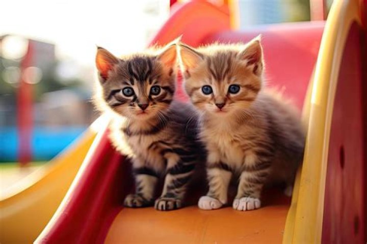 30 Pics So Adorable You'll Literally Melt — Best Life