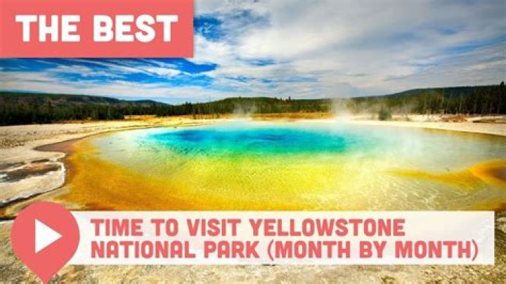8 Reasons to Visit Yellowstone National Park Right Now