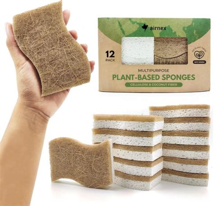 If Your Houseplants Are Dying, a Kitchen Sponge Can Revive Them