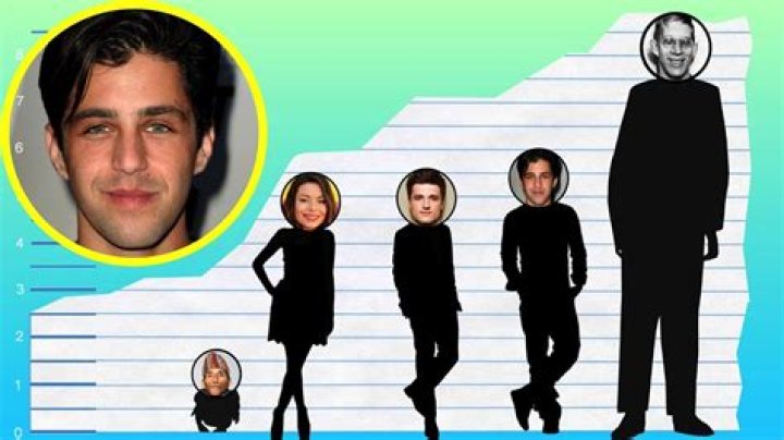Josh Peck Height, Weight, Age, Spouse, Family, Facts, Biography