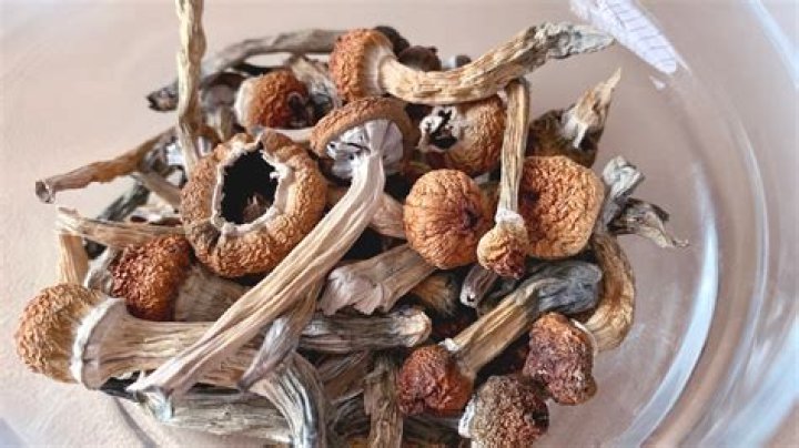 New FDA Recalls: Seafood, Mushrooms, Condiments, and Eye Ointment
