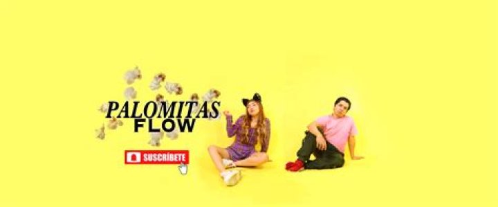 Palomitas Flow video statistics