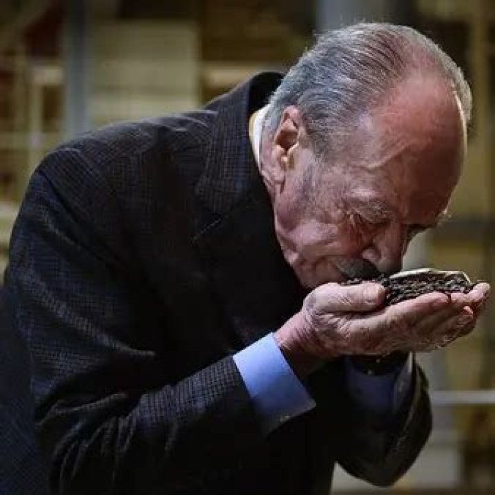 Ricardo Quaresma Net Worth | Celebrity Net Worth