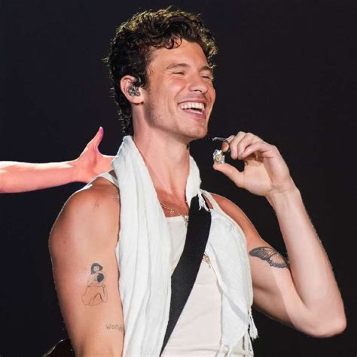 What Was Shawn Mendes' First Song?